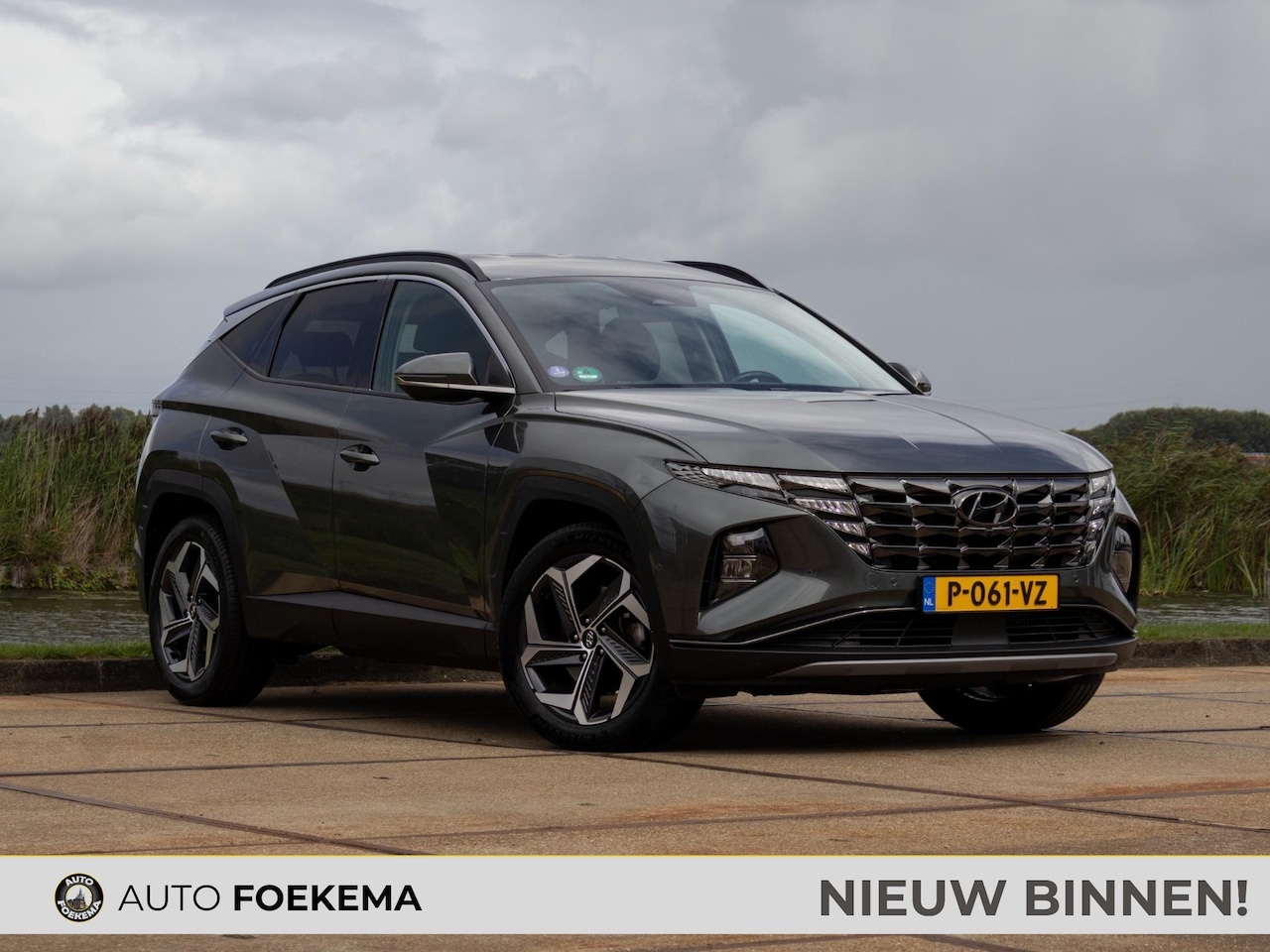 Hyundai Tucson - 1.6 T-GDI HEV Premium Memory Stoel/ stuurverwarming Trekhaak - AutoWereld.nl