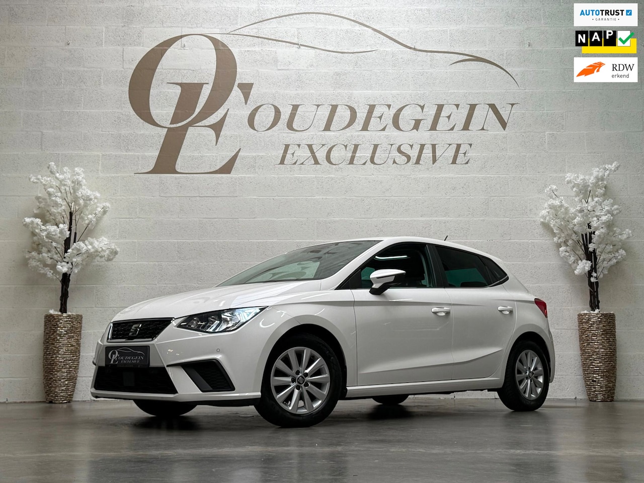 SEAT Ibiza - 1.0 TSI Style Intense / Camera / Carplay + Android Auto / Adaptive Cruise / PDC V+A / Gara - AutoWereld.nl