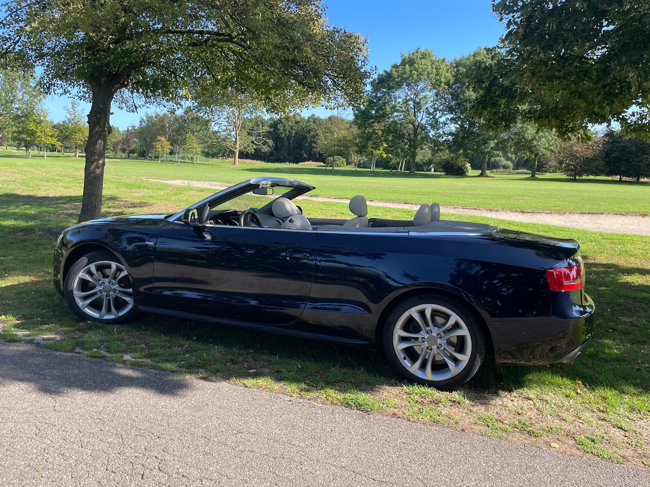 Audi A5 Cabriolet - 2.0 TFSI quattro 275 pk - AutoWereld.nl