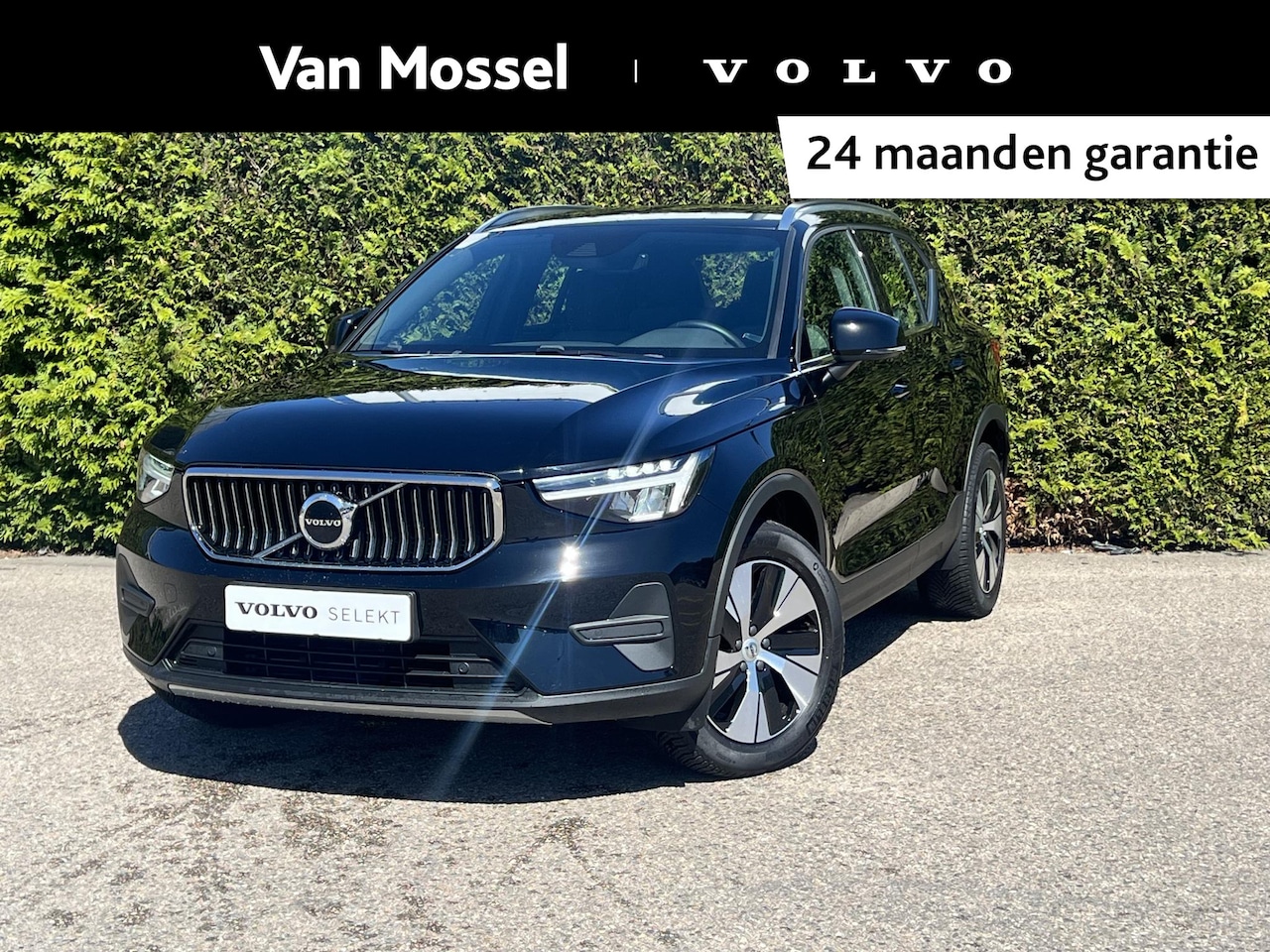 Volvo XC40 - T4 Recharge Inscription | Trekhaak | Keyless | Bliss | Cruise control | - AutoWereld.nl