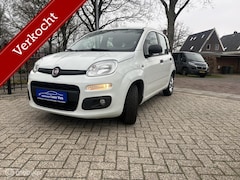 Fiat Panda - 1.2 Lounge, Airco, Grote beurt, Distributie