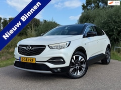 Opel Grandland X - 1.2 Turbo Innovation / Perfect onderhouden / Camera / Navigatie / Climate Control / Cruise