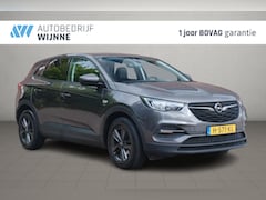 Opel Grandland X - 1.2 Turbo 130pk Aut. 120 Jaar Edition | Navi | App Connect | Climate | Cruise | PDC | Trek