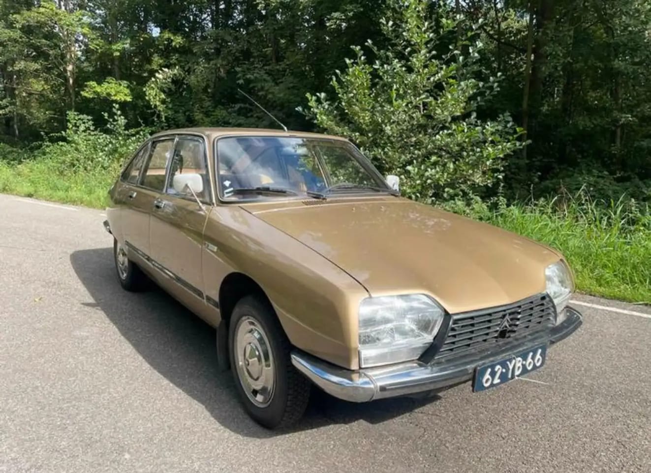Citroën GS - Pallas Pallas - AutoWereld.nl