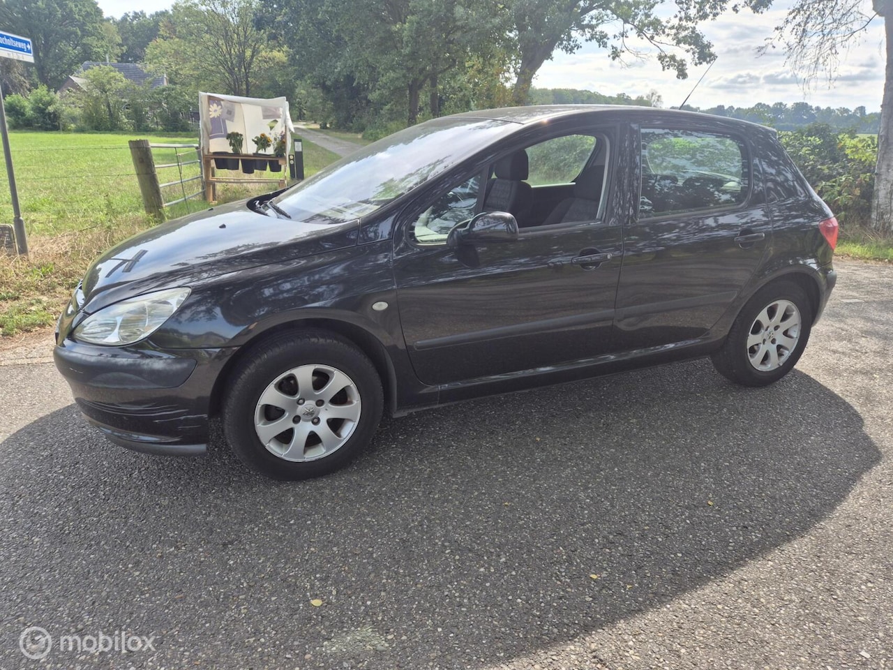 Peugeot 307 - 1.6-16V XS Pack airco - AutoWereld.nl