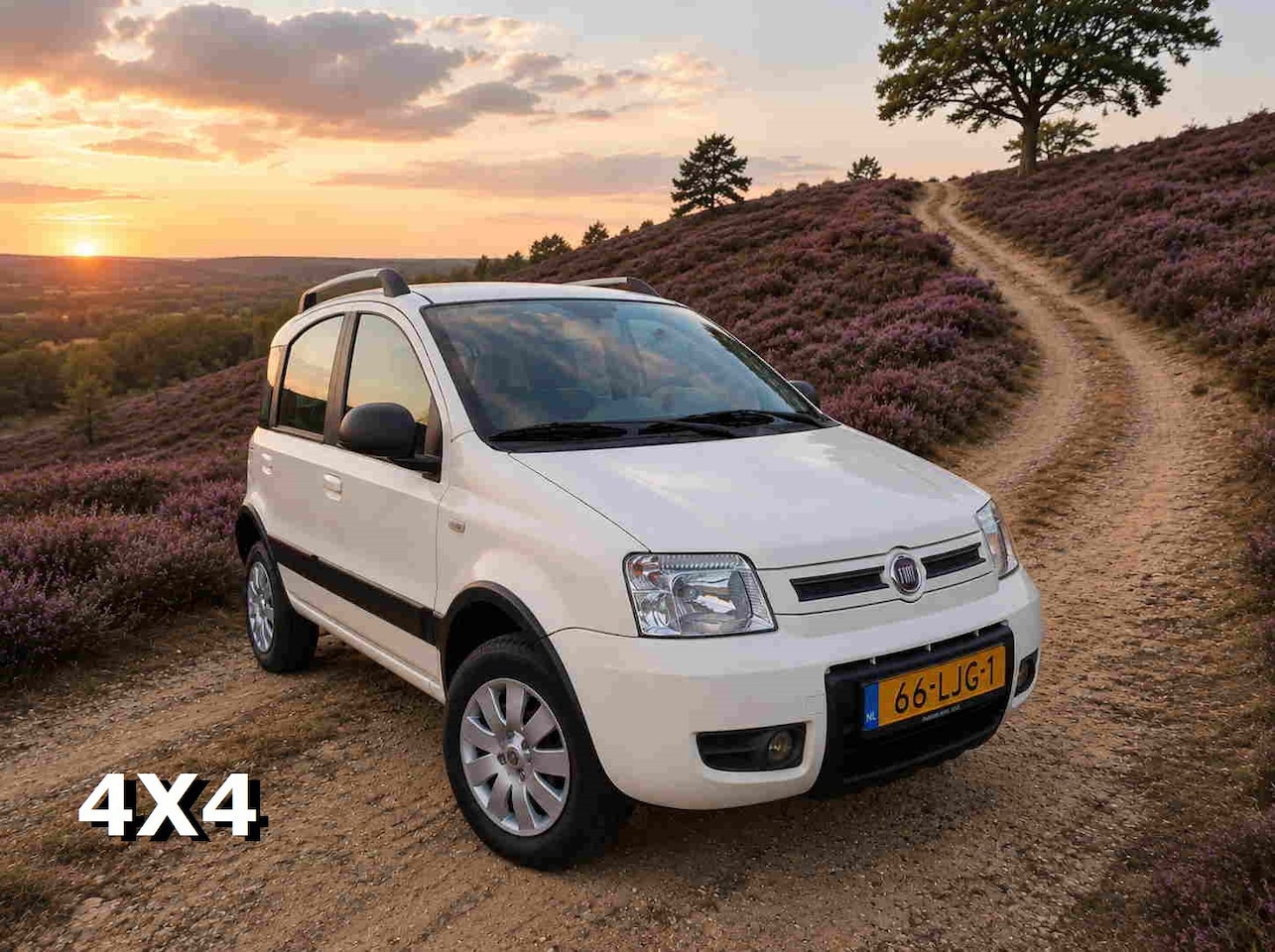 Fiat Panda - 1.2 Climbing 4x4 1.2 Climbing 4x4 - AutoWereld.nl