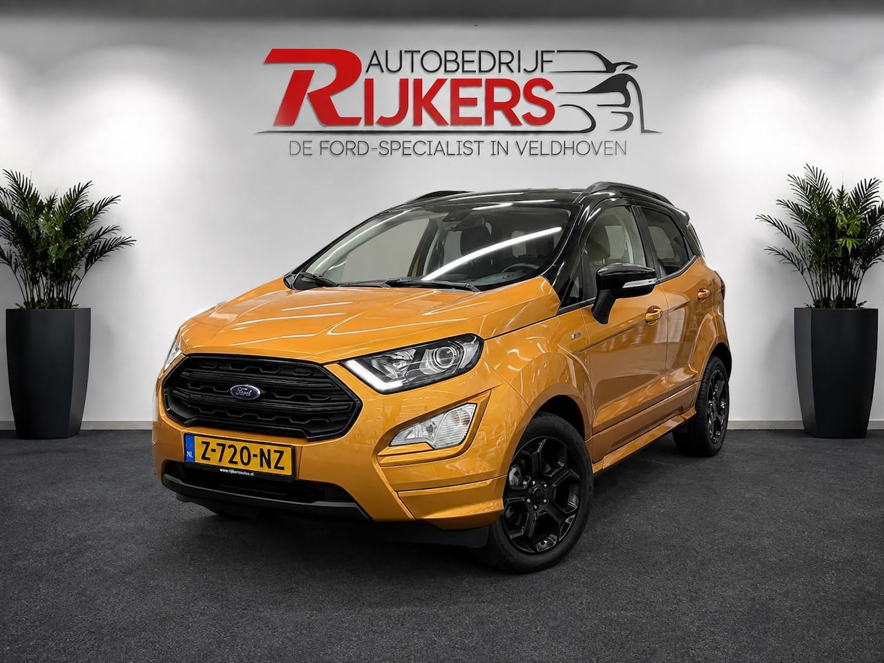 Ford EcoSport - 1.0 EcoBoost ST-Line 125PK Automaat,Trekhaak,Camera A,Cruise Control,Apple Carplay,Climate - AutoWereld.nl