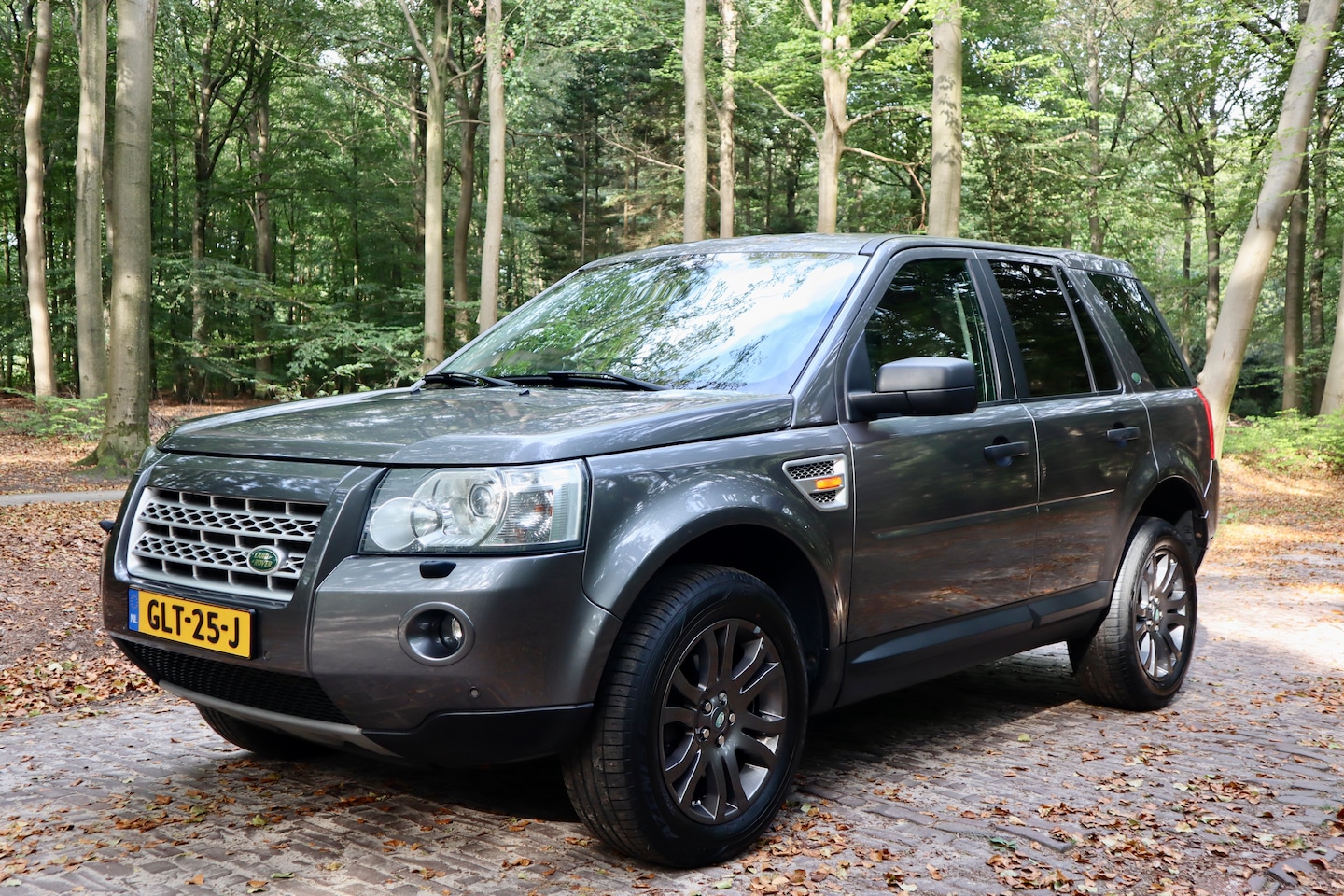 Land Rover Freelander - 3.2 i6 HSE Automaat | 2006 | Stornoway Grey | Alpaca leder | Youngtimer - AutoWereld.nl