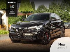 Alfa Romeo Stelvio - 2.9 V6 AWD Quadrifoglio MY2021 | BTW-auto | Carbon | Carplay
