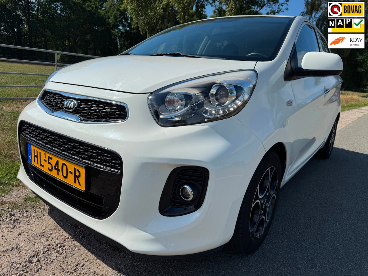 Kia Picanto - 1.0 CVVT ColorLine climate|cruise|parkeersensoren - AutoWereld.nl