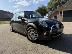 MINI 3-Deurs - 1.5 Cooper Pepper. Half leer, Climate/cruise Top onderhouden auto