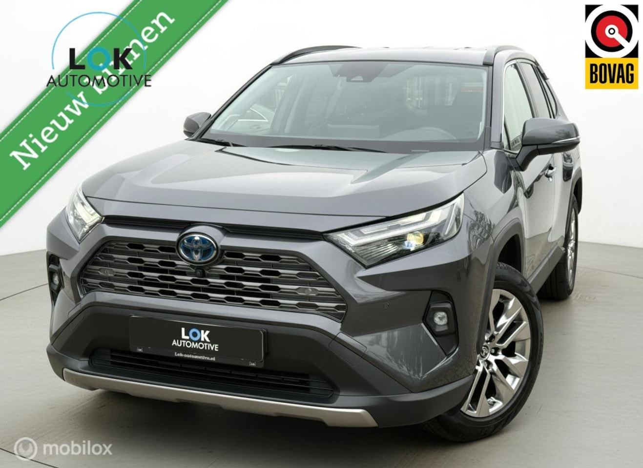 Toyota RAV4 - 2.5 Hybrid AWD Executive 4X4 360CAMERA|JBL|MEMORY|LEDER - AutoWereld.nl