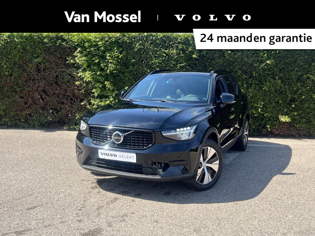 Volvo XC40 - T5 Hybrid Plus Dark | 360 camera | Bliss | Harman kardon audio | Keyless | Cruise control - AutoWereld.nl