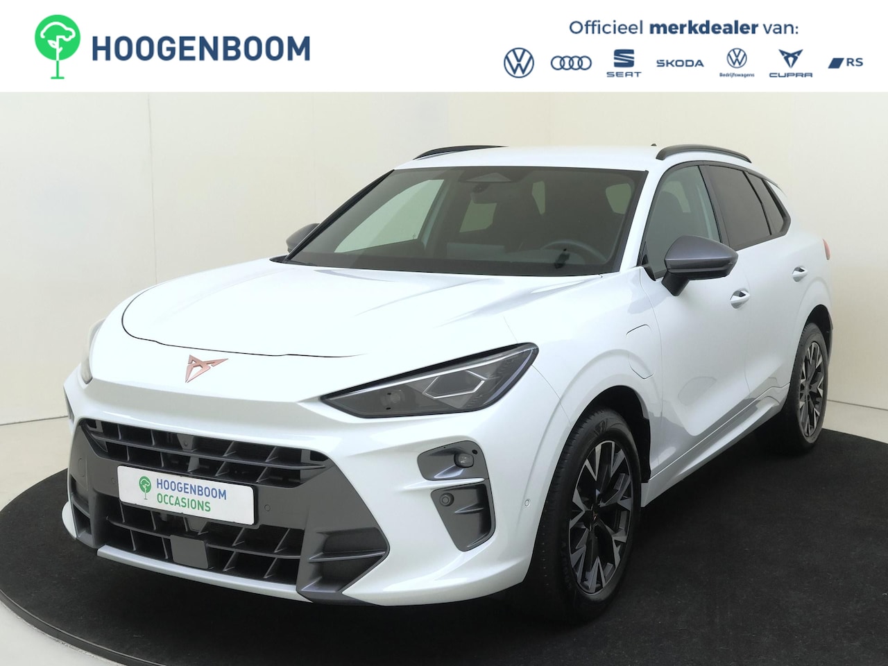 CUPRA Terramar - 1.5 TSI e-Hybrid Business | SoH 100% | 360 camera | Head-up display | Bestuurdersstoel met - AutoWereld.nl