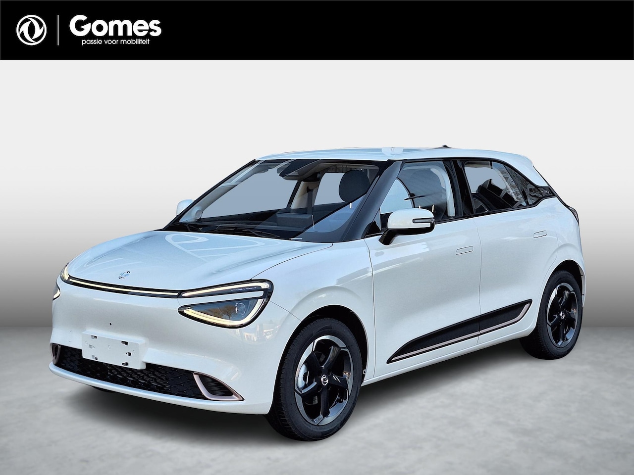 Dongfeng Box - Premium Edition 42 kWh | 360° camera | Adaptieve cruise control | Smartphone integratie | - AutoWereld.nl