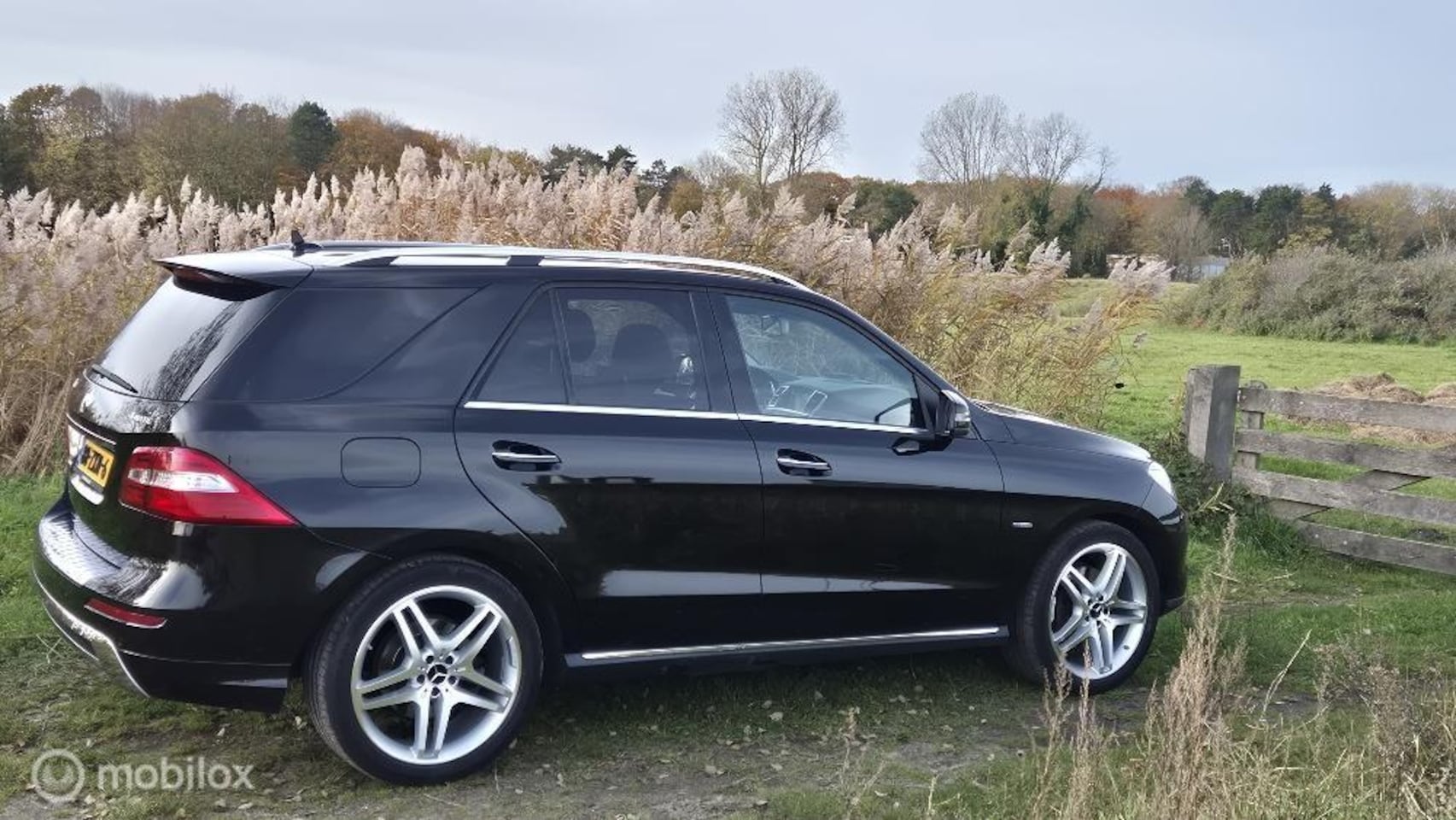 Mercedes-Benz ML-klasse - 350 - AutoWereld.nl
