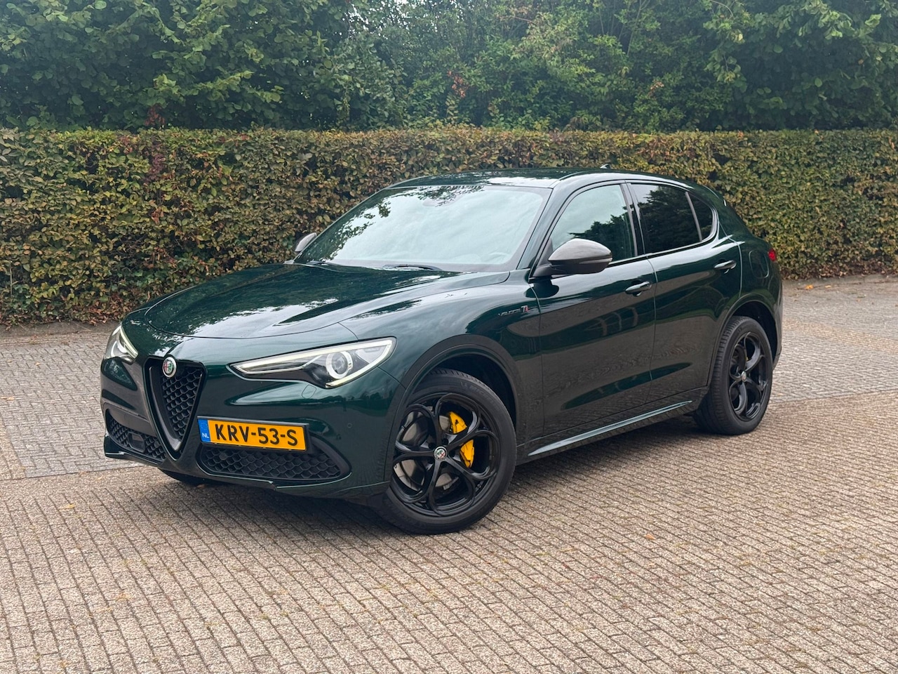 Alfa Romeo Stelvio - Veloce TI Q4 Verde Visconti Luxe uitgerust Carbon 280PK - AutoWereld.nl