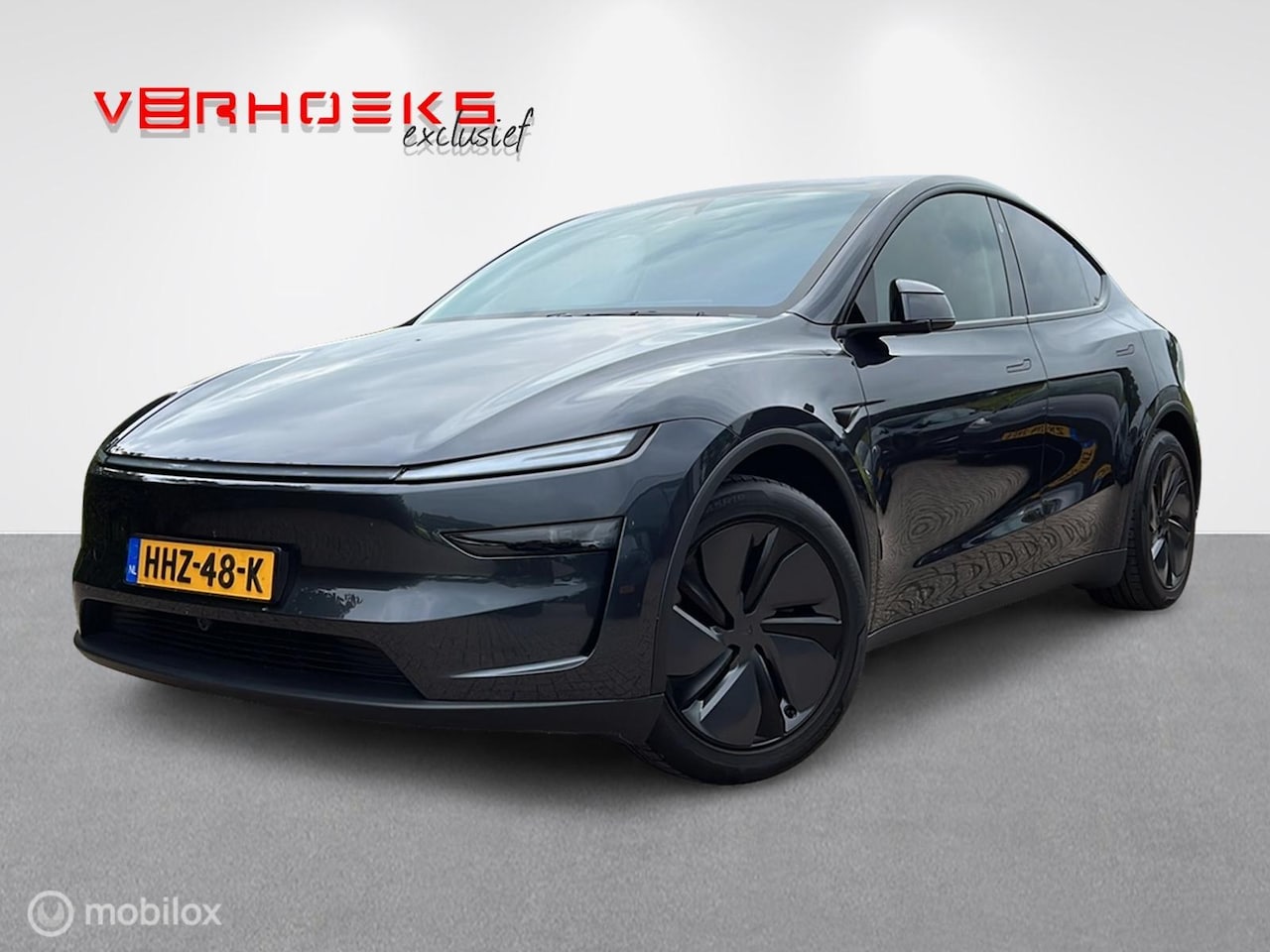 Tesla Model Y - Premium Long Range Dual Motor / BTW!! - AutoWereld.nl