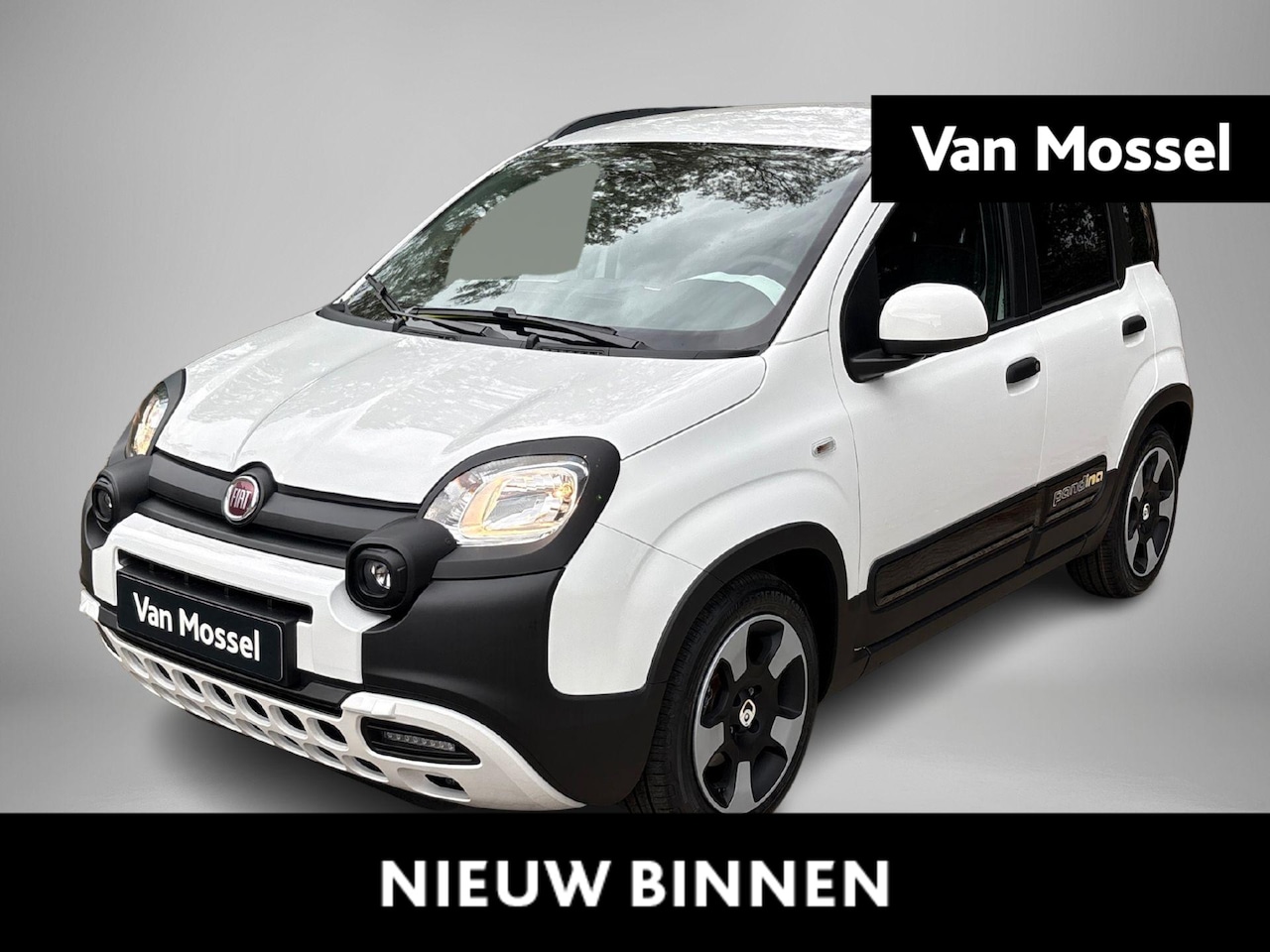 Fiat Pandina - 1.0 Cross | Hybrid | Tijdelijk €1.500,- Inruilvoordeel | Parkeersensoren | Airoc | Cruise - AutoWereld.nl
