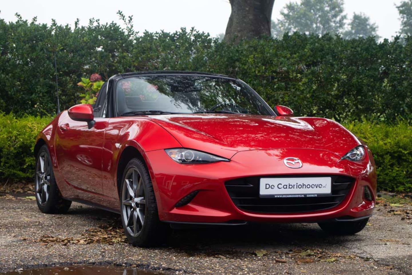 Mazda MX-5 - ND 2.0l SkyActiv-G 160 GT-M Soul Red Metallic - AutoWereld.nl
