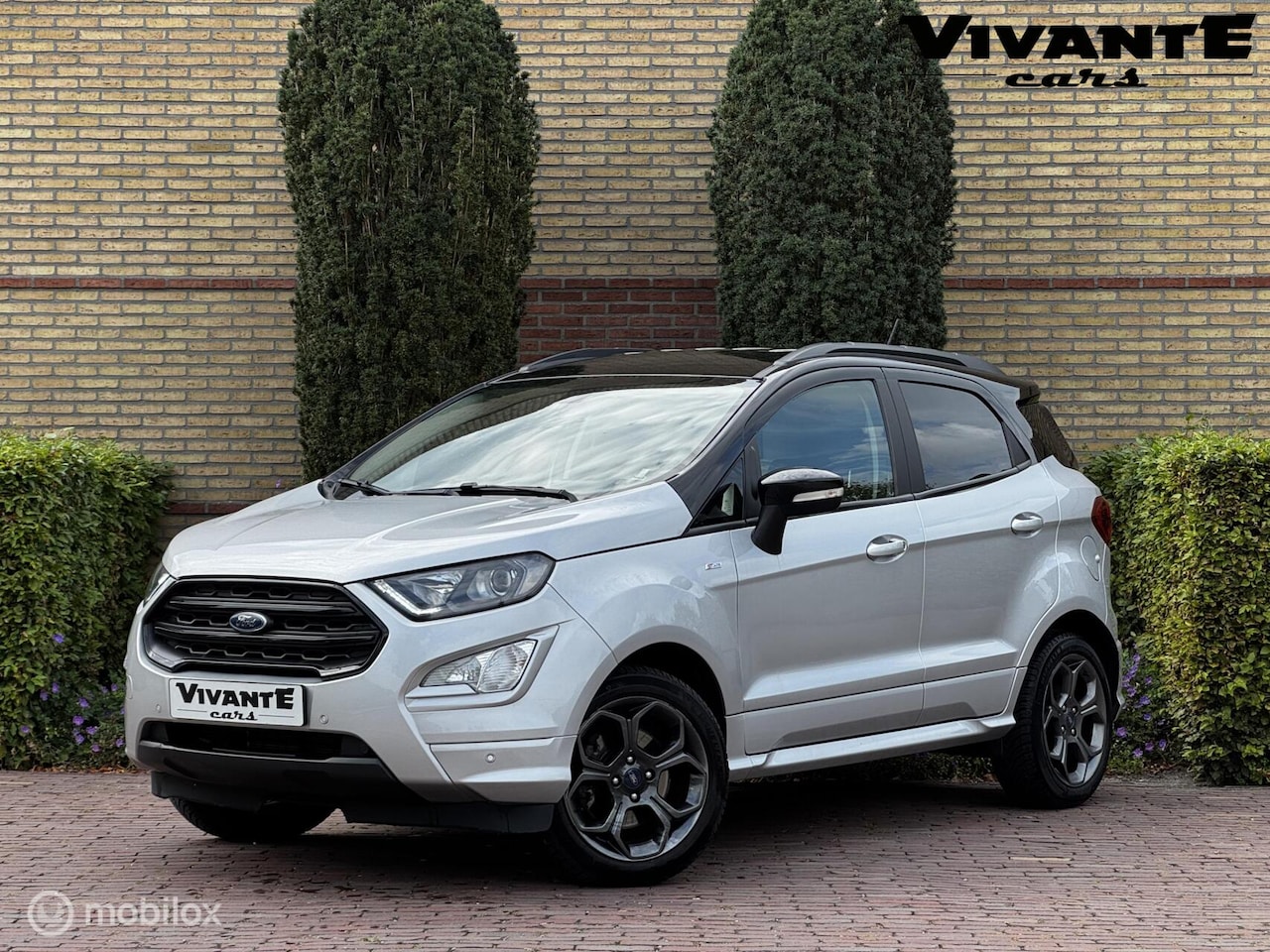Ford EcoSport - 1.0 EcoBoost Titanium ST-Line AUT. Camera*Stoel.vrw - AutoWereld.nl