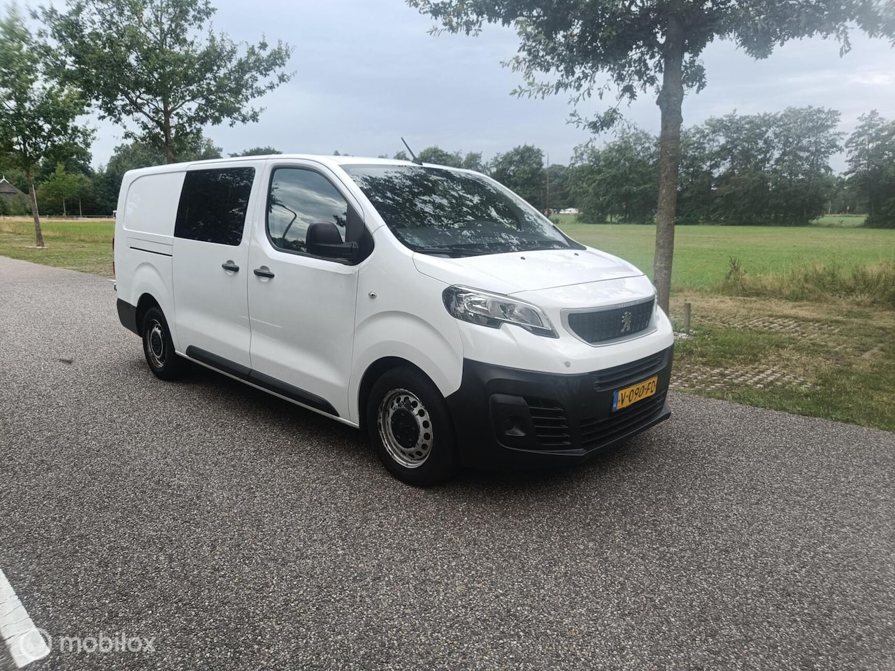 Peugeot Expert - Bestel 231L 2.0 HDI 120 dubbelcabine - AutoWereld.nl