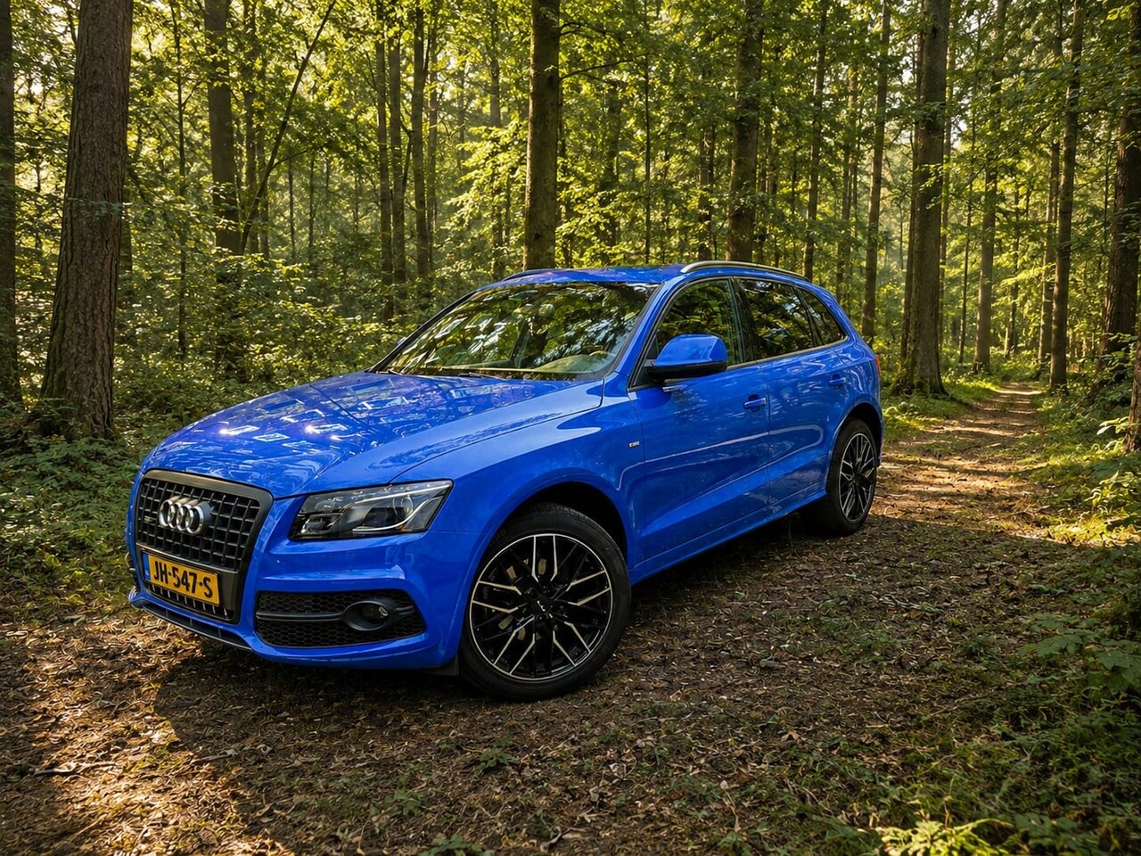 Audi Q5 - 2.0 TFSI quattro Pro Line S B&O Edition - AutoWereld.nl