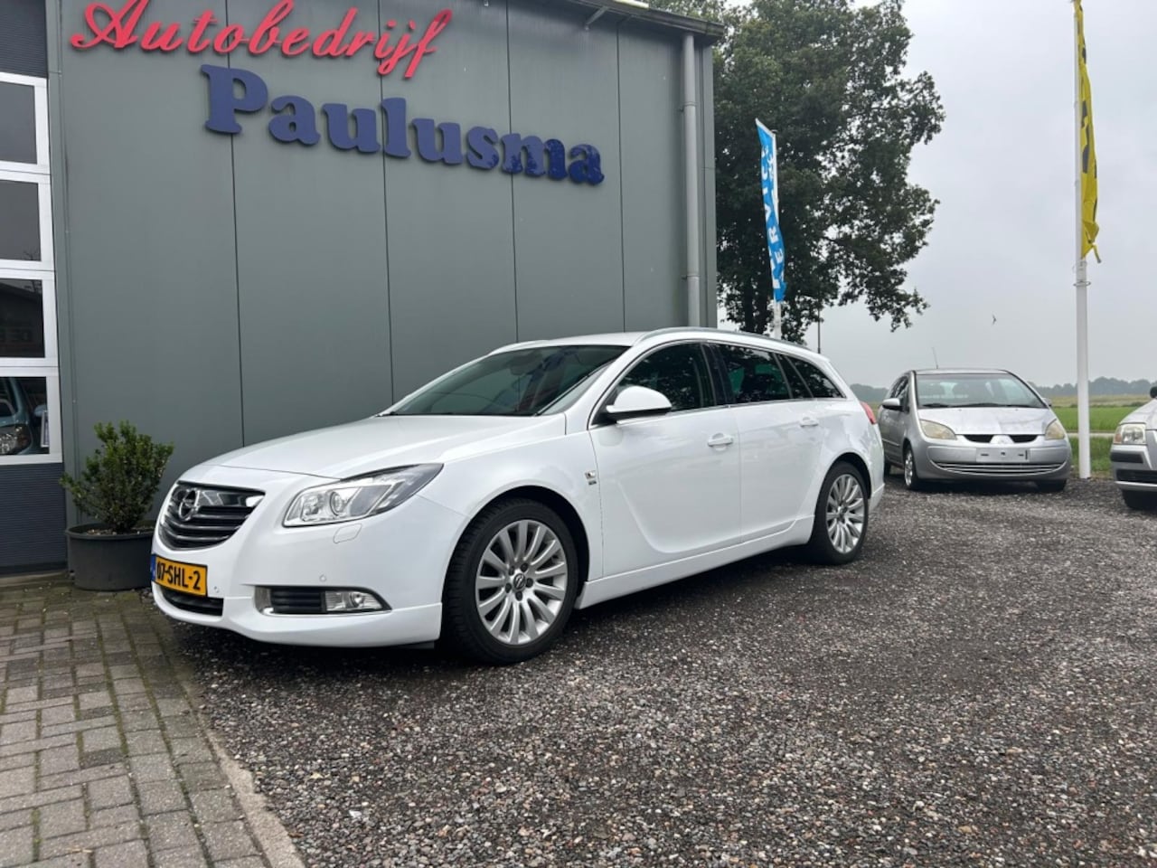 Opel Insignia Sports Tourer - 1.4 T EcoF. Cosmo - AutoWereld.nl