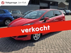Ford Fiesta - 1.0 EcoB. Hot Hatch, Airco, navigatie
