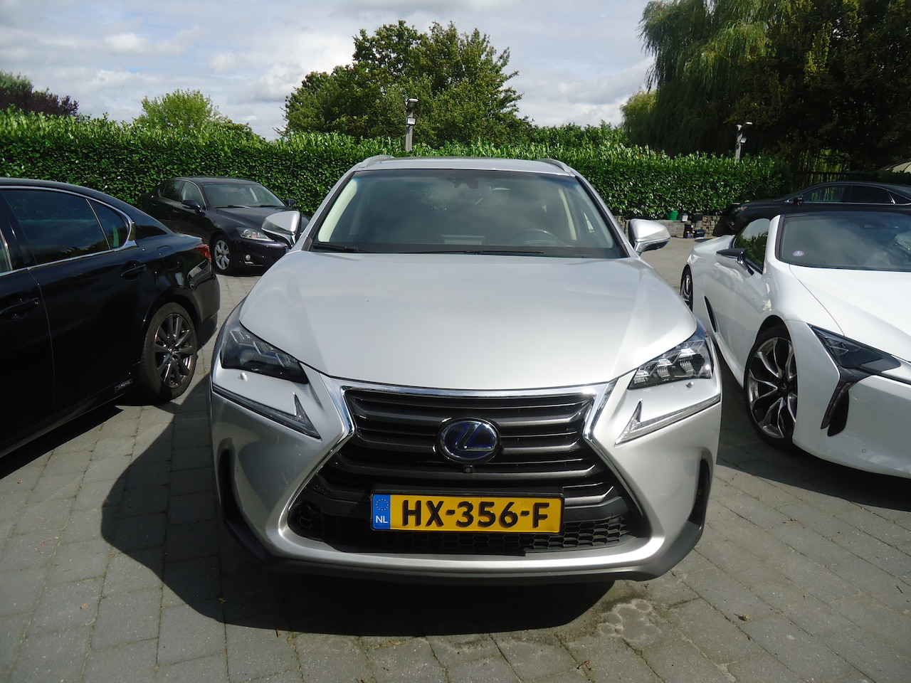 Lexus NX - 300h AWD President Line gewoon de beste uitvoering