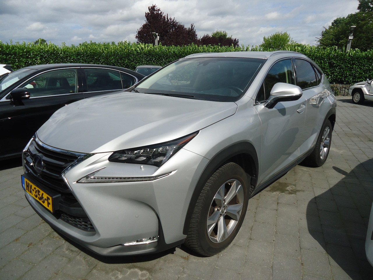 Lexus NX - 300h AWD President Line gewoon de beste uitvoering