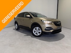 Opel Grandland X - 1.2 Turbo Business Executive Sunroof/CruiseControl