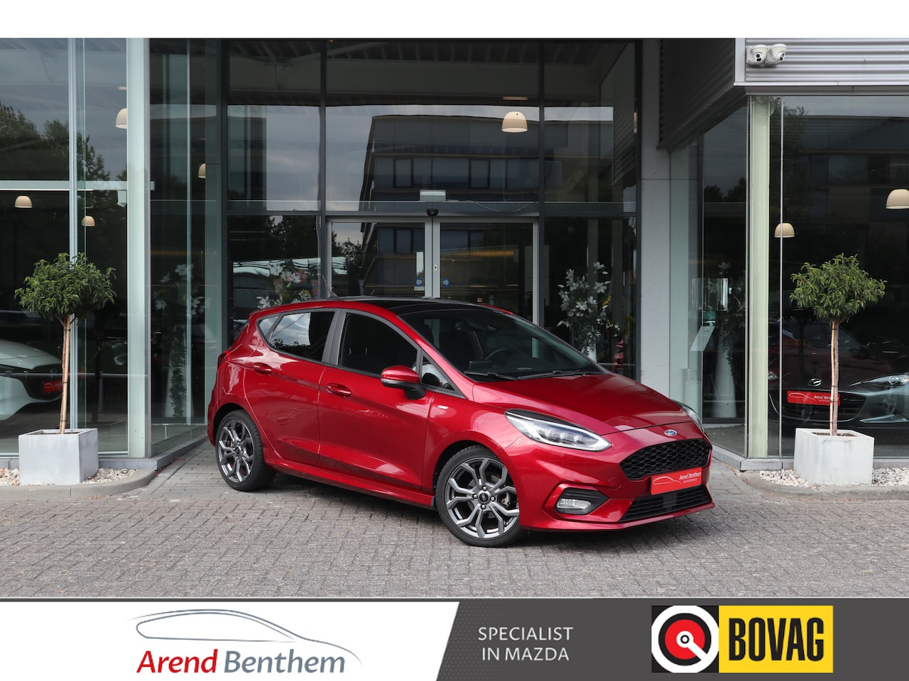 Ford Fiesta - 1.0 EcoBoost ST-Line Clima / Pano / Stoel-Stuur verw / Cruise / Navi / LM-Velgen / Audio - AutoWereld.nl