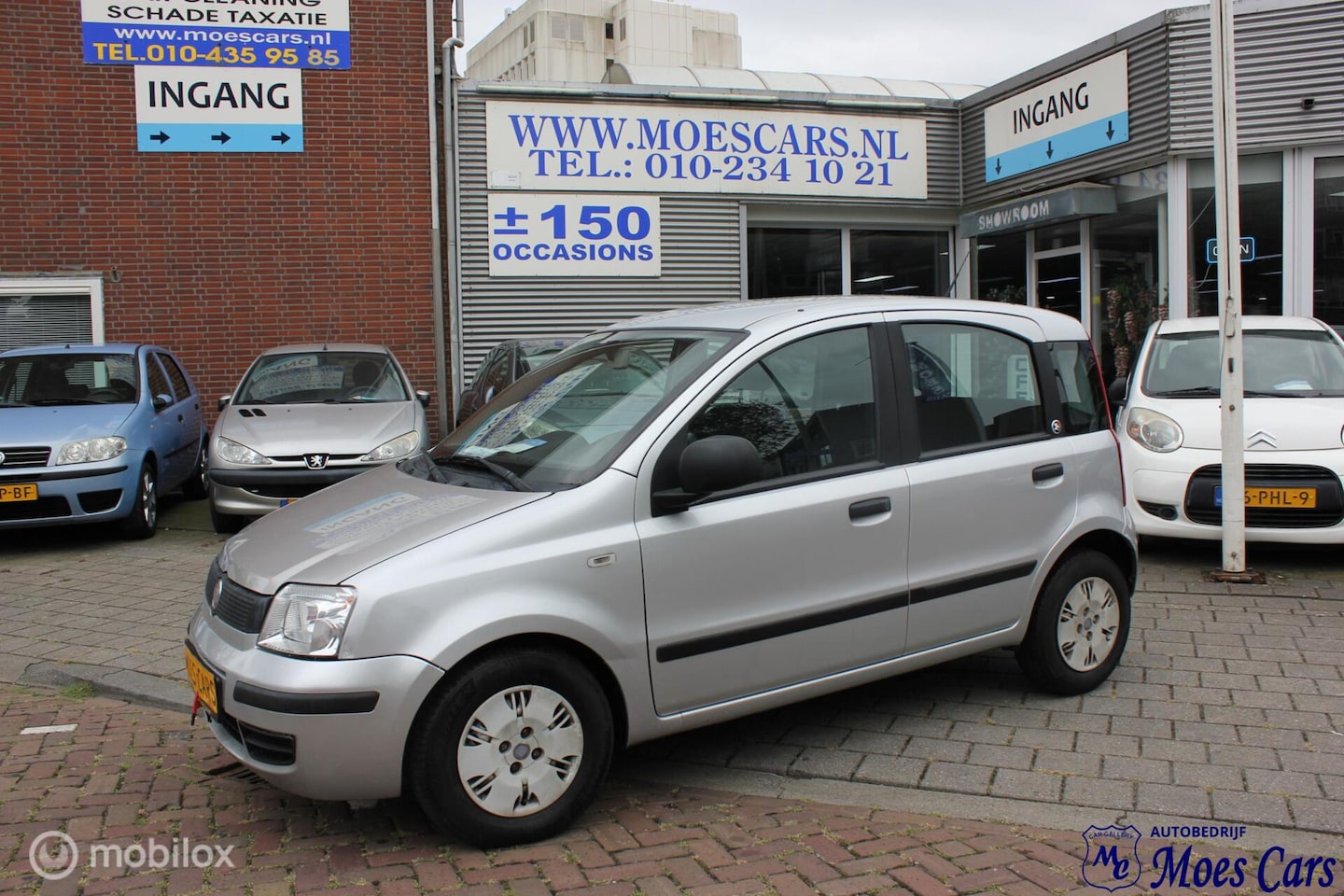 Fiat Panda - 1.2 Celebration 1.2 Celebration - AutoWereld.nl