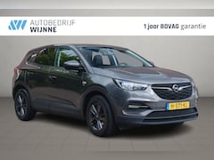 Opel Grandland X - 1.2 Turbo 130pk Aut. 120 Jaar Edition | Navi | App Connect | Climate | Cruise | PDC | Trek