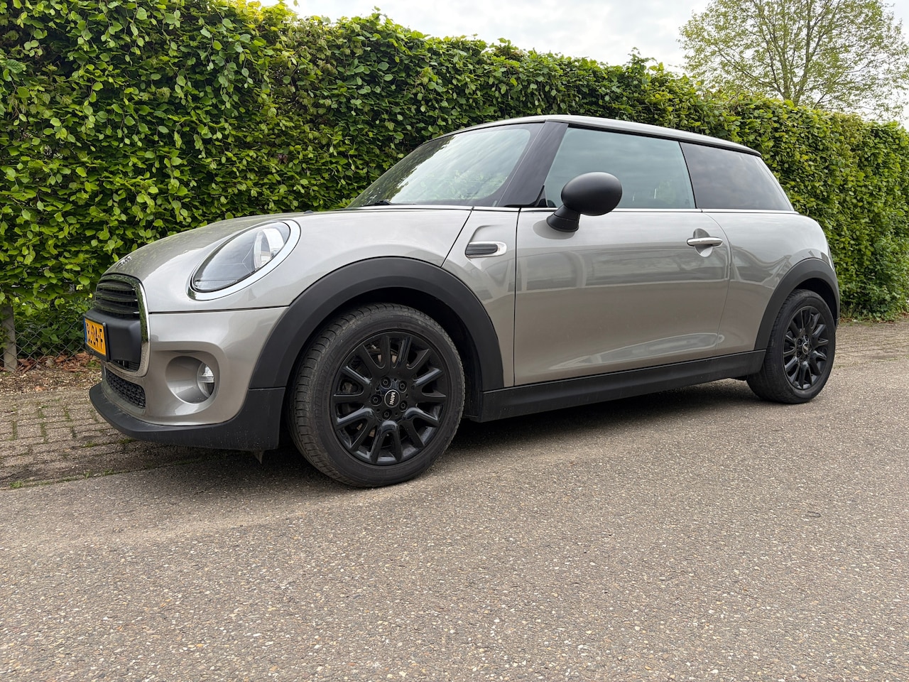 MINI One - 1.5 First Salt 16" lmv - AutoWereld.nl