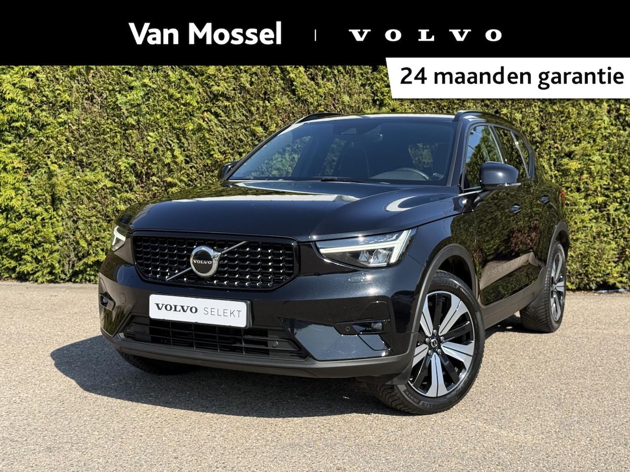 Volvo XC40 - T4 Plug-in hybrid Plus Dark | Trekhaak | H&K Audio | BLIS | Elektr. stoel - AutoWereld.nl