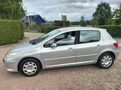 Peugeot 307 - 1.6-16V Oxygo 5 Drs! Climat/Cruise Control! Airco! NW APK!