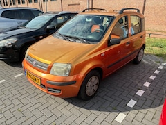 Fiat Panda - 1.2 Edizione Cool