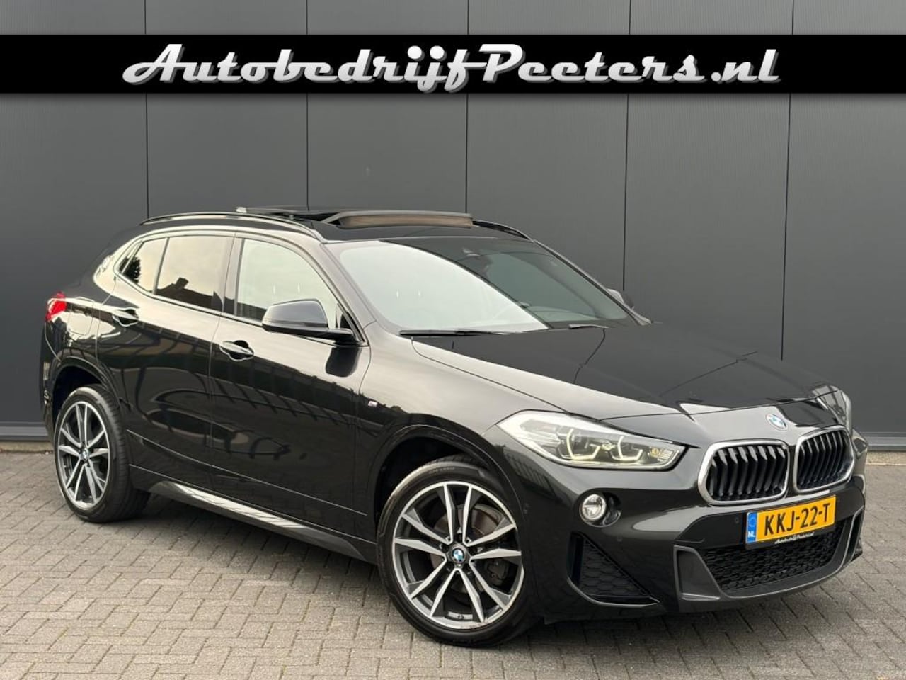 BMW X2 - sDrive18i M Sport Aut. Pano Leder LED Camera Sfeerlicht - AutoWereld.nl