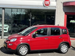 Fiat Panda - 1.0 Hybrid Pandina City AIRCO|DAB|BLEUTOOTH|USB|CRUISE CONTROL|PDC