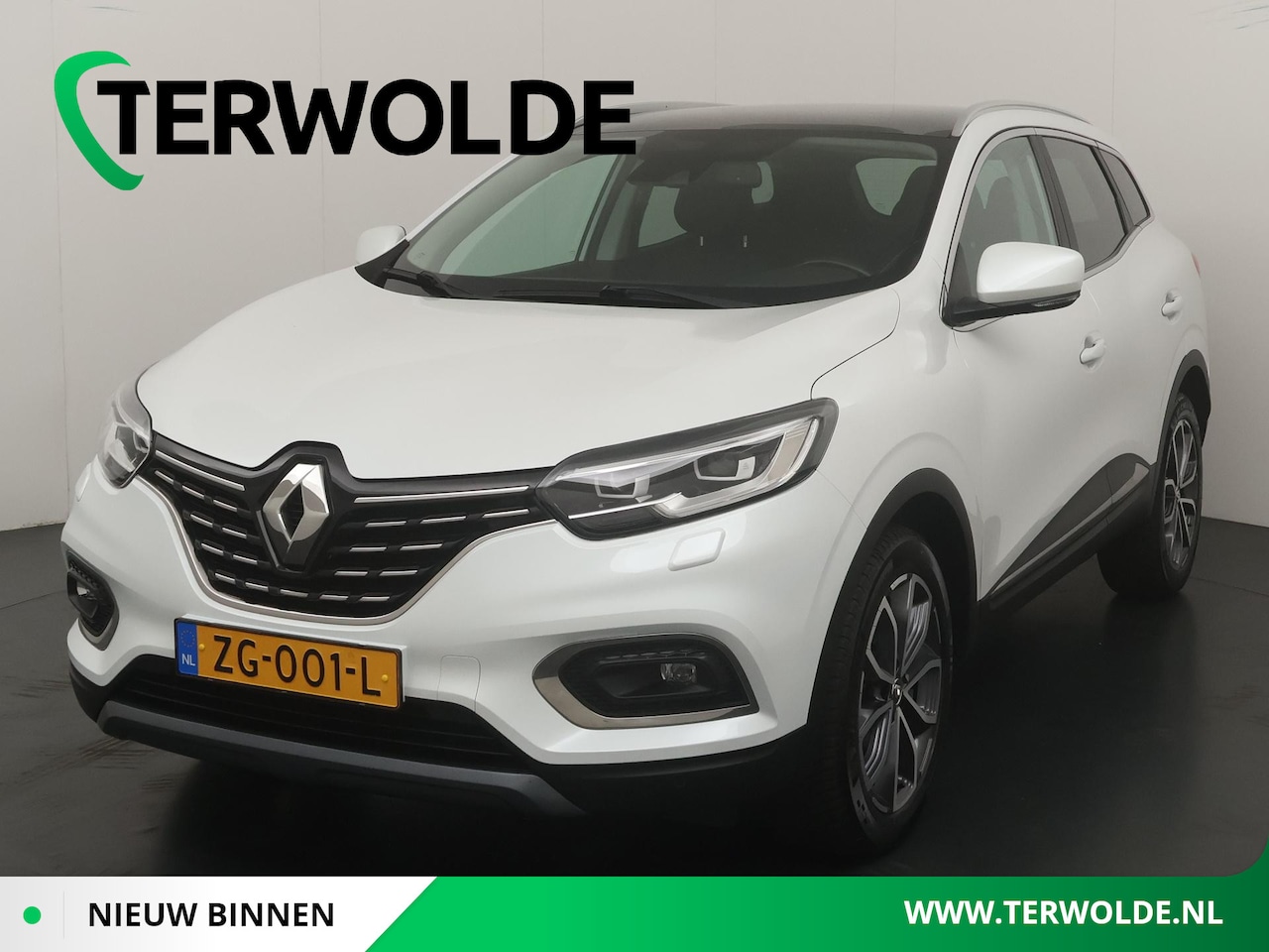 Renault Kadjar - TCe 160 GPF Intens | Trekhaak | Panoramadak | Stoel- & voorruitverw. | - AutoWereld.nl