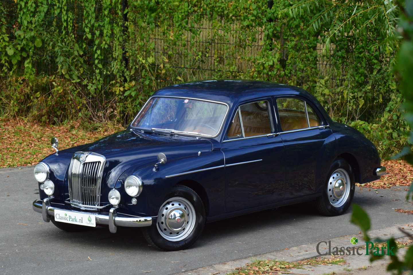 MG Magnette - Saloon - AutoWereld.nl