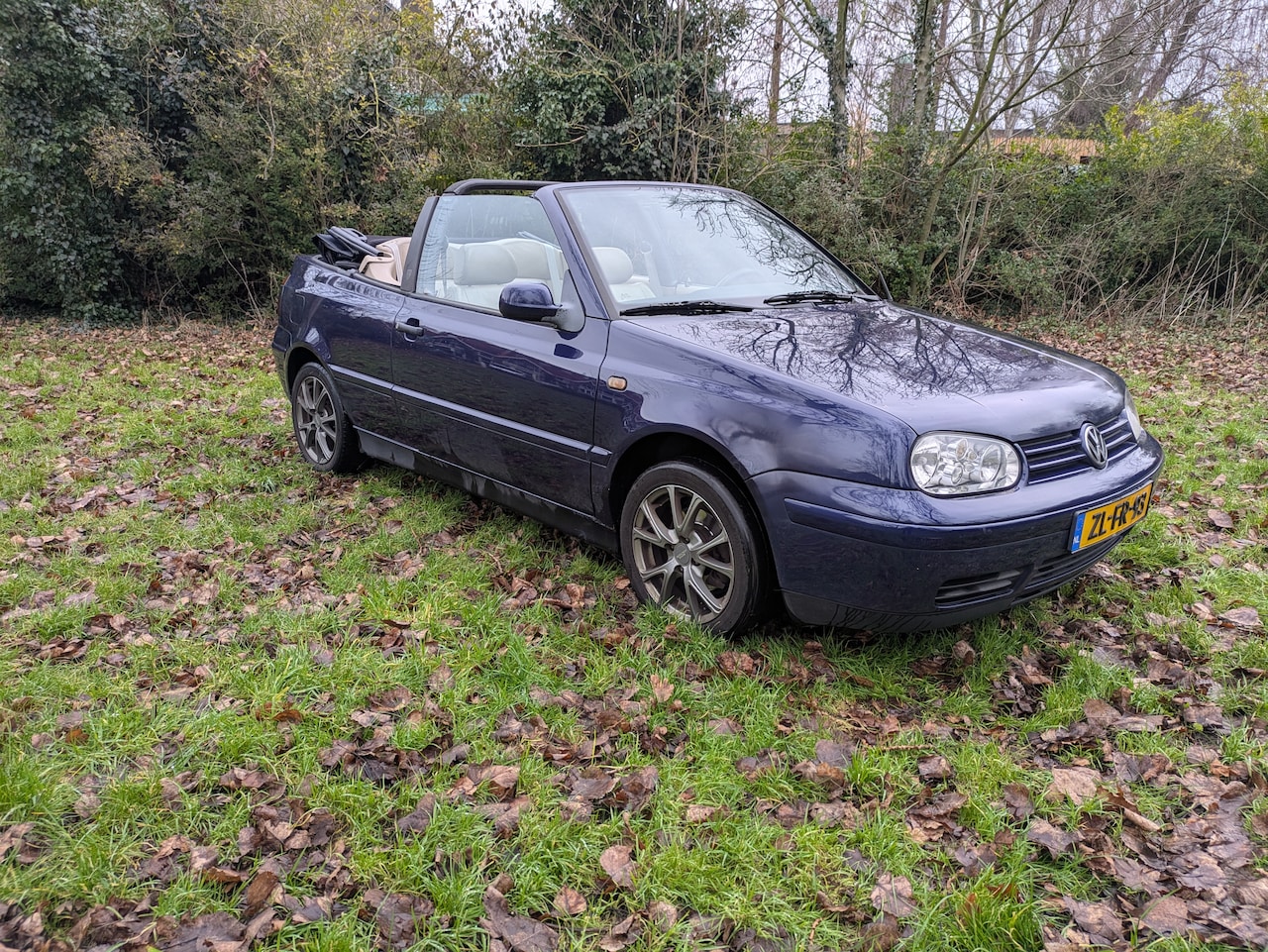 Volkswagen Golf Cabriolet - 2.0 Highline - AutoWereld.nl