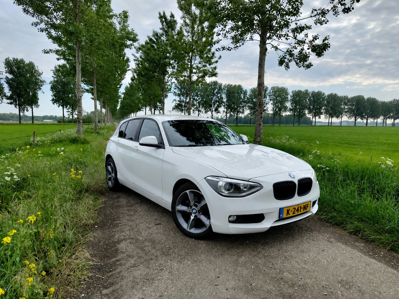 BMW 1-serie - 118i Executive 125KW/170PK Automaat | Bi-Xenon | Cruise Control | Airco | Stoelverwarming | Trekhaak - AutoWereld.nl