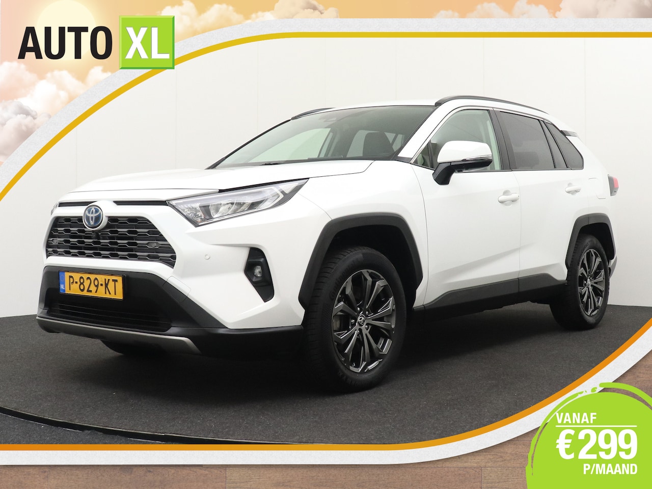 Toyota RAV4 - 2.5 Hybrid Business+ JBL 360* Camera Leder - AutoWereld.nl