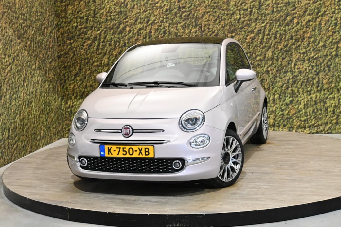 Fiat 500 - 1.0 Hybr. Star | Pink | Carplay | Cruise | PDC - AutoWereld.nl
