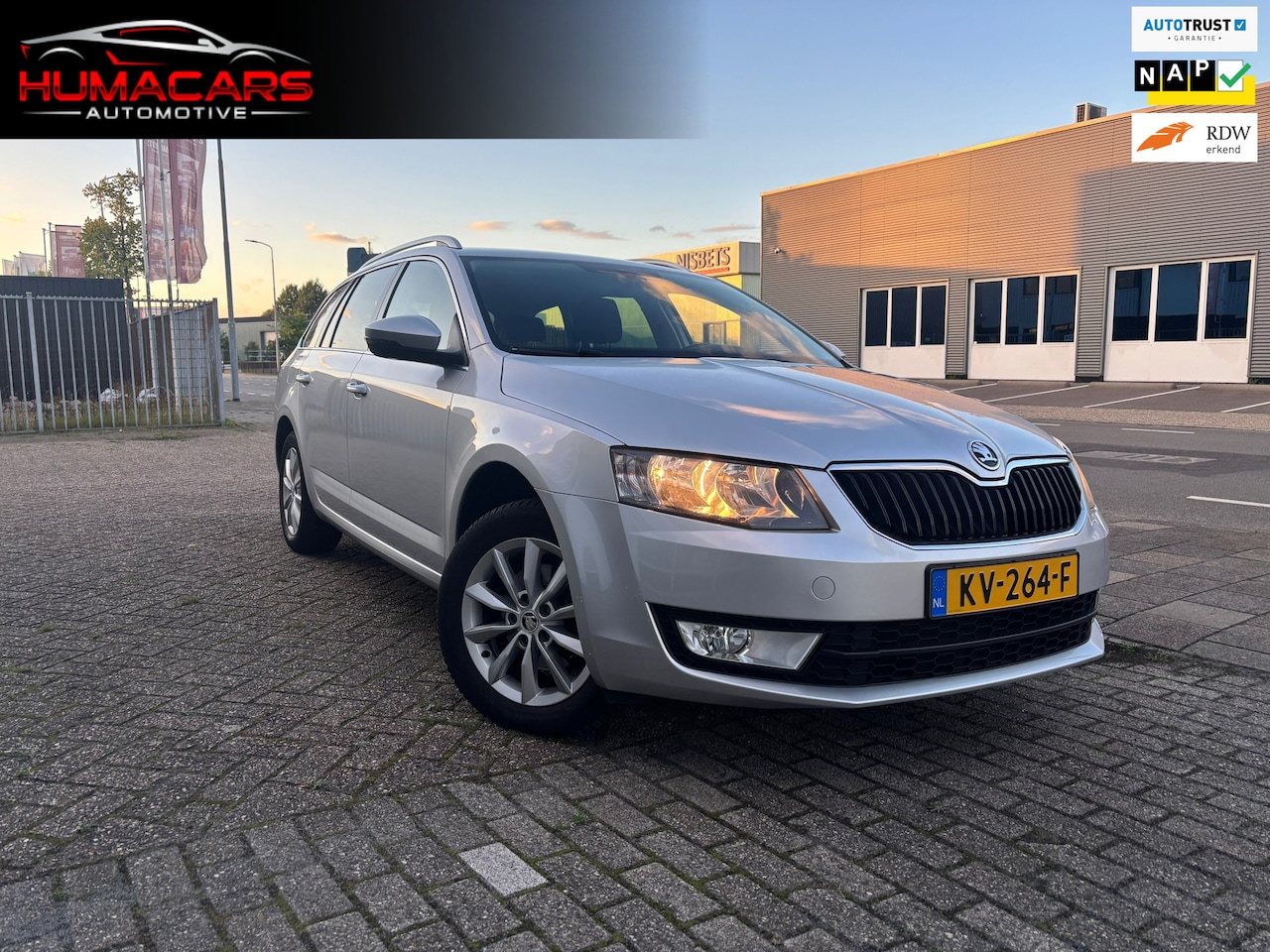 Skoda Octavia Combi - 1.0 TSI Greentech Ambition Business|Automaat|Nap|clima - AutoWereld.nl