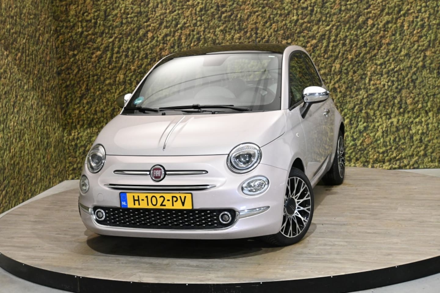 Fiat 500 - 1.0 Hybr. Star | Pink | Carplay | Cruise | PDC - AutoWereld.nl