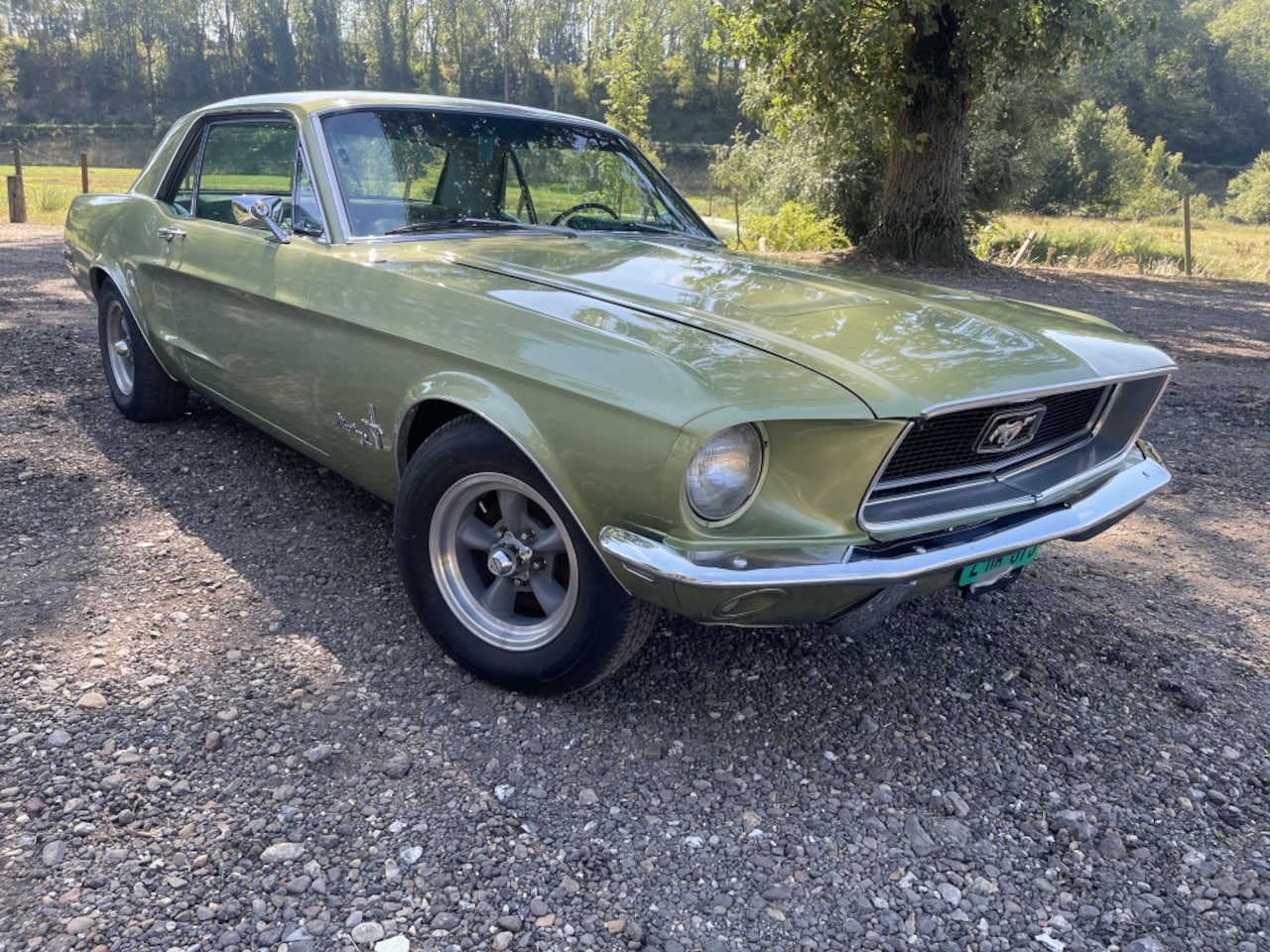 Ford Mustang - V8 !!! - AutoWereld.nl